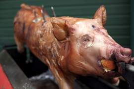 traditional hog roast